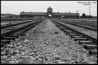 Auschwitz II...